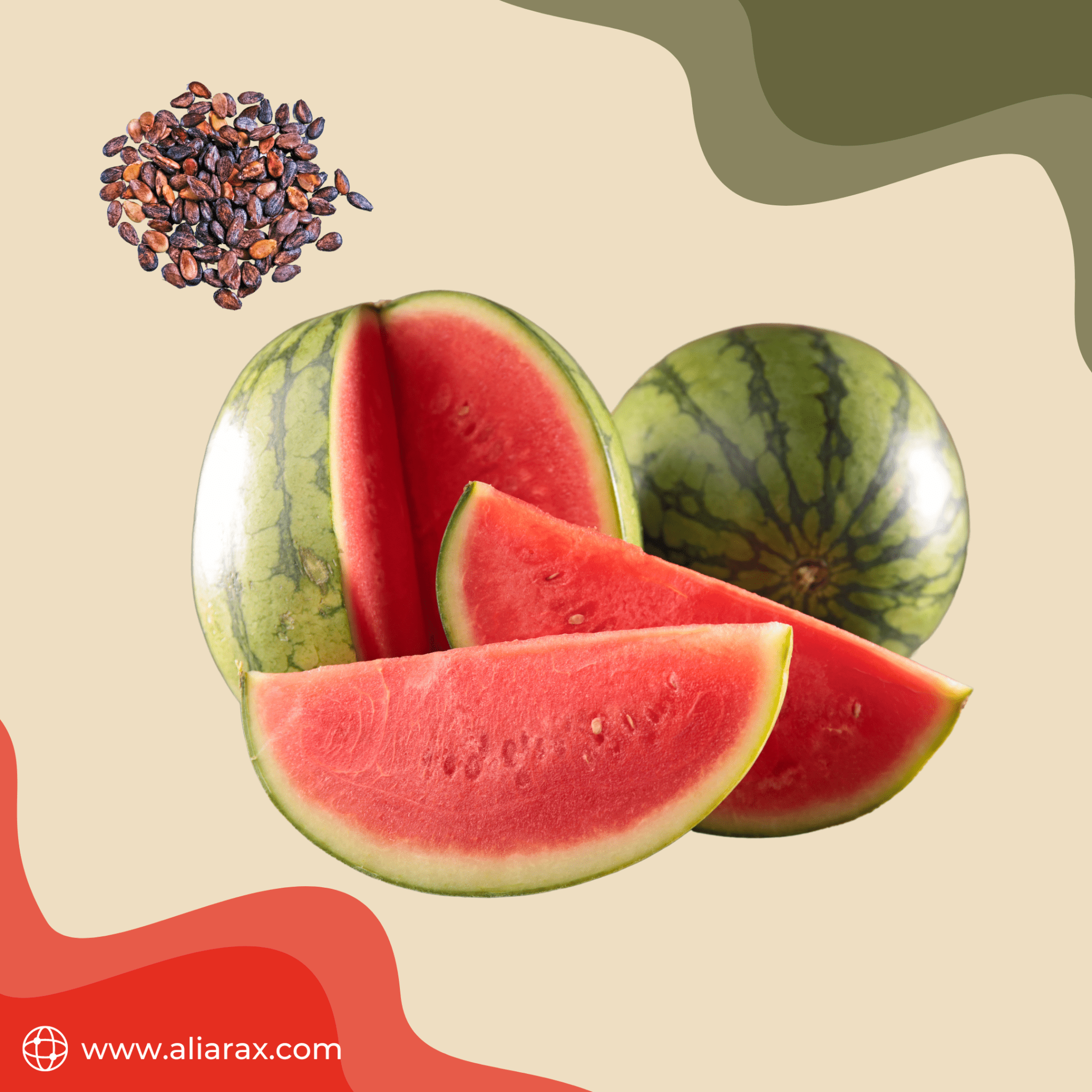 Corrected watermelon بذر هندوانه اصلاحی