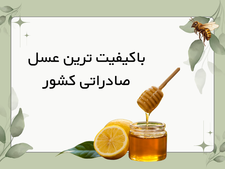 علی آراکس